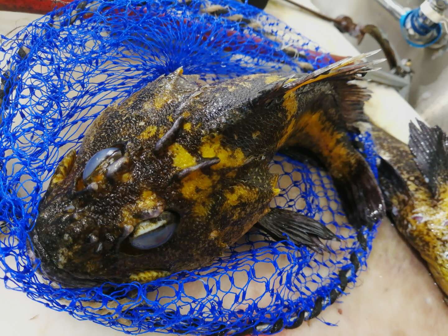 webwxgetmsgimg - 2020-07-31T112039.513.jpg