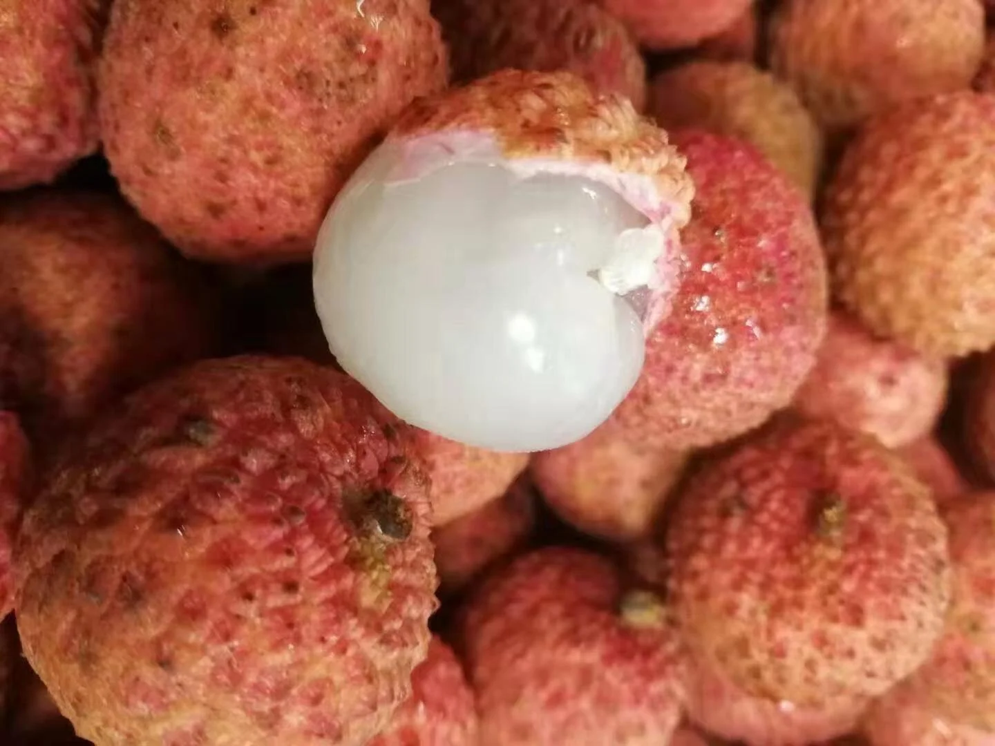 WeChat Image_20210111162742.jpg