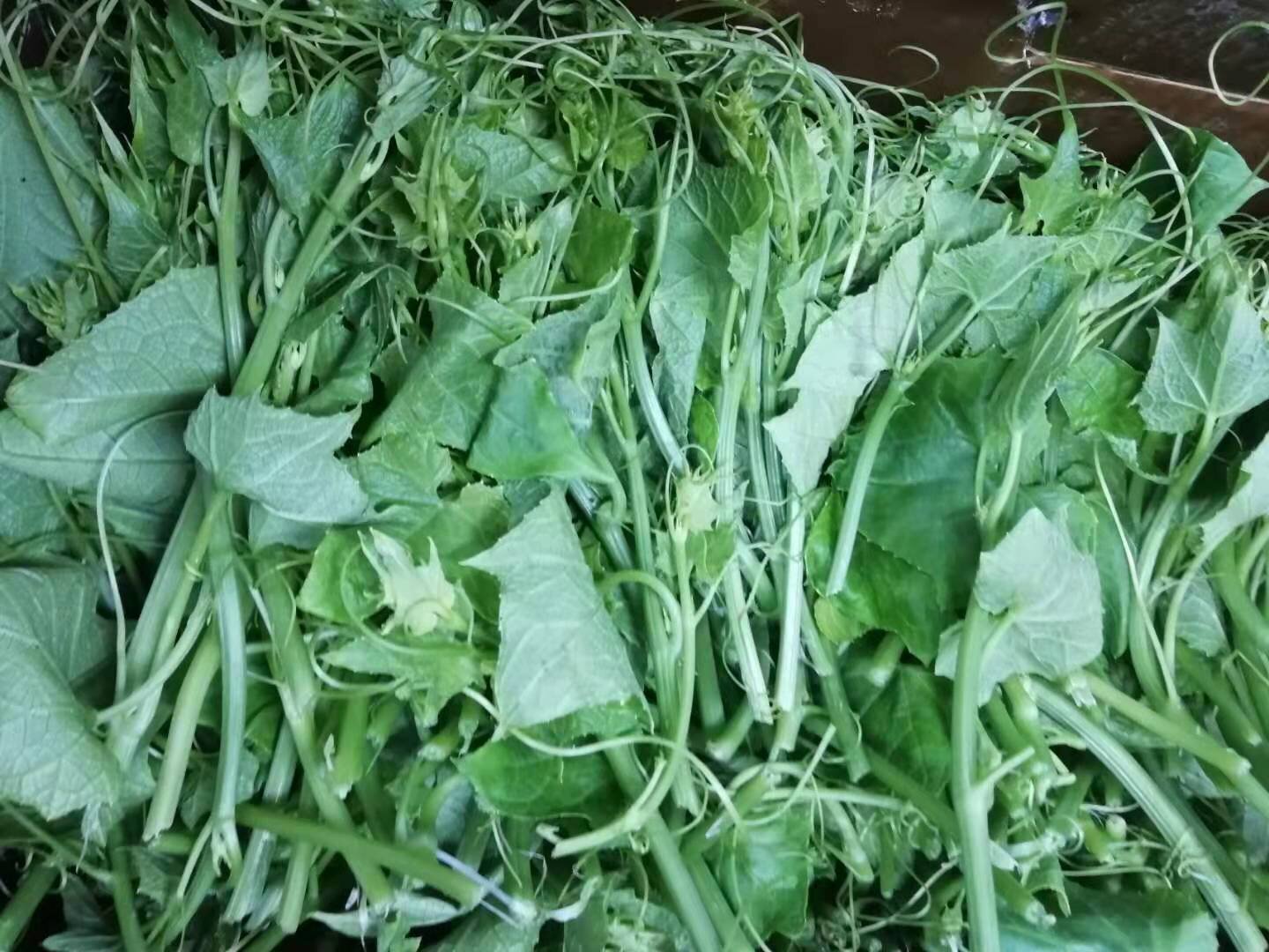 WeChat Image_20210130142425.jpg