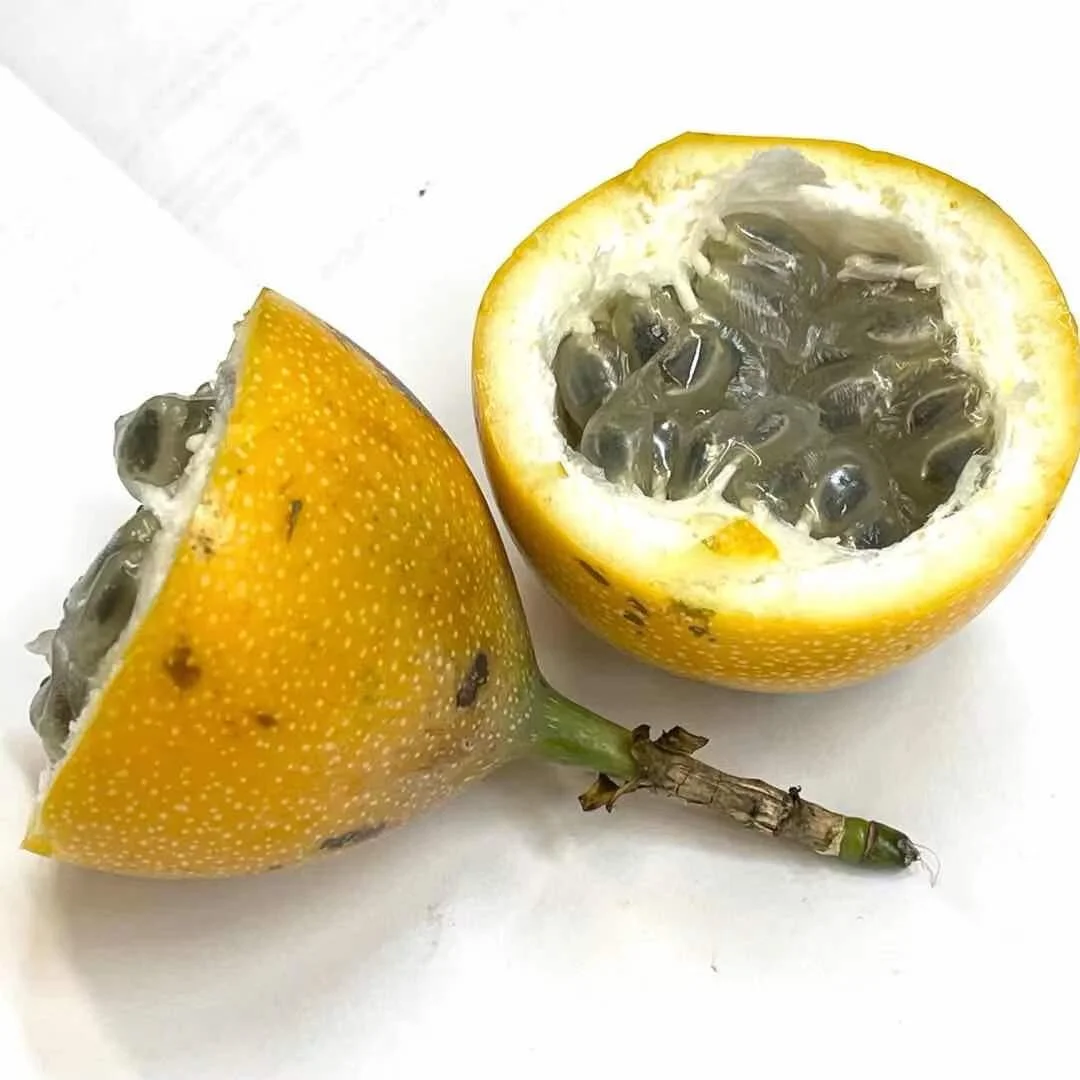 WeChat Image_20210304114954.jpg