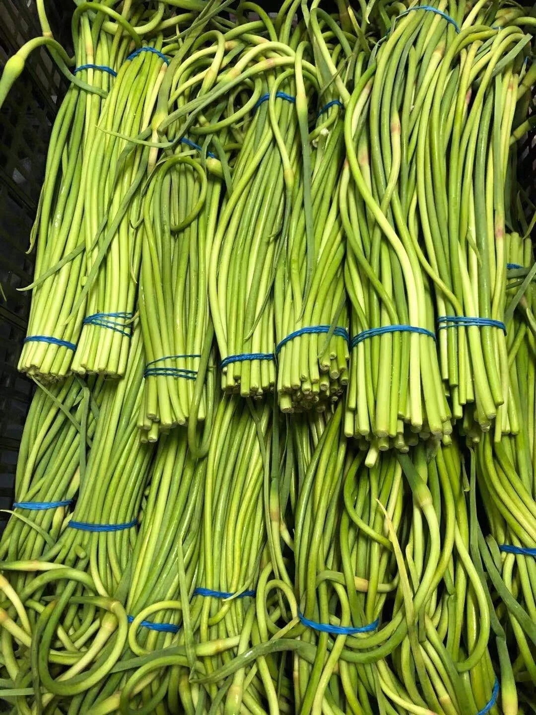 WeChat Image_20210430155005.jpg