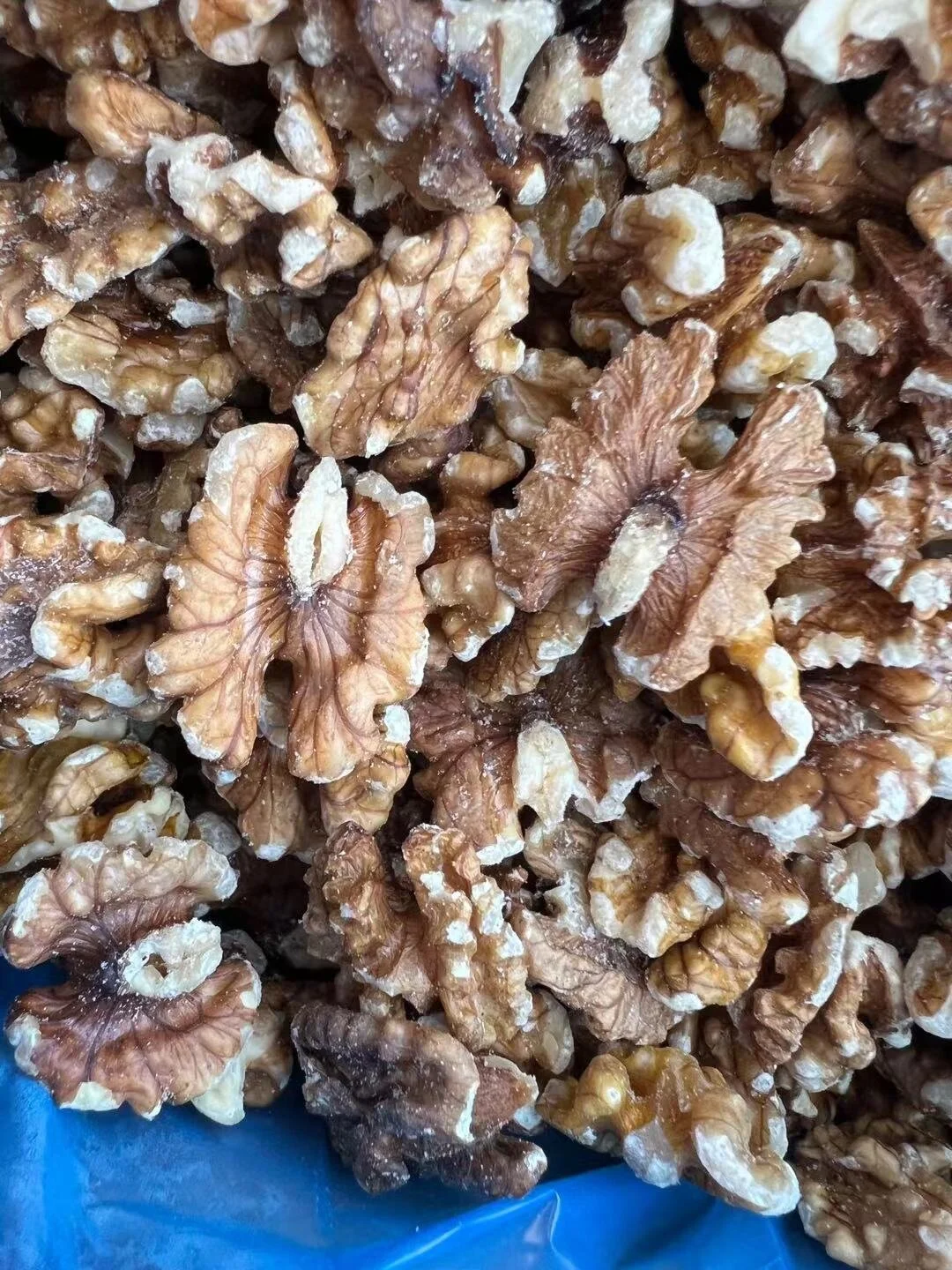 WeChat Image_20211004101534.jpg