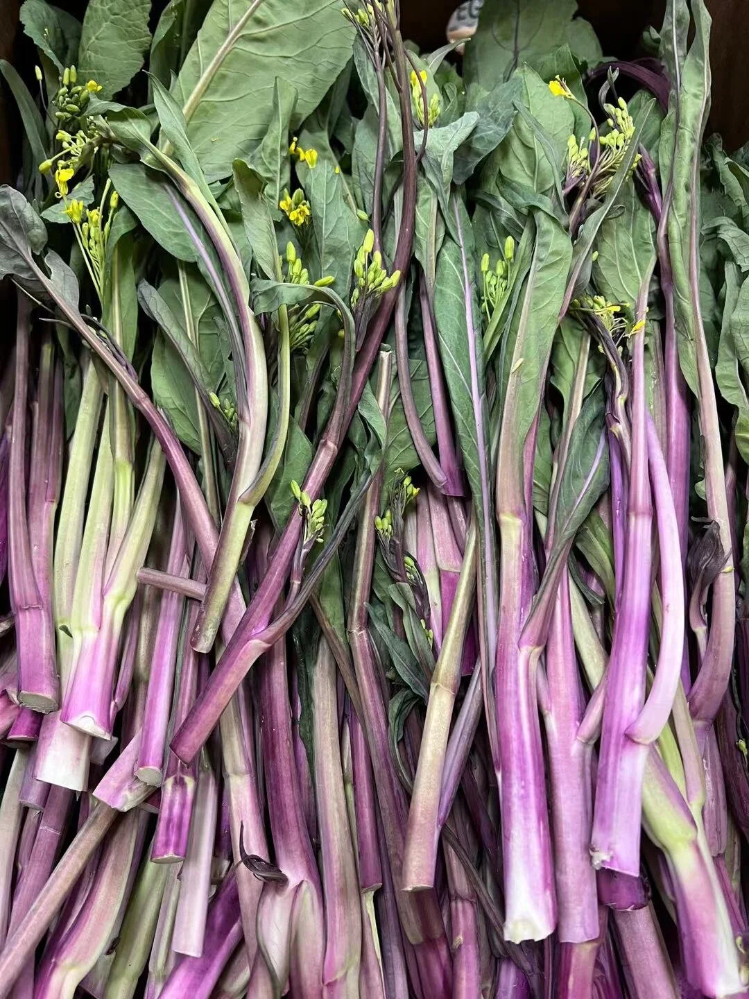 WeChat Image_20211005115738.jpg