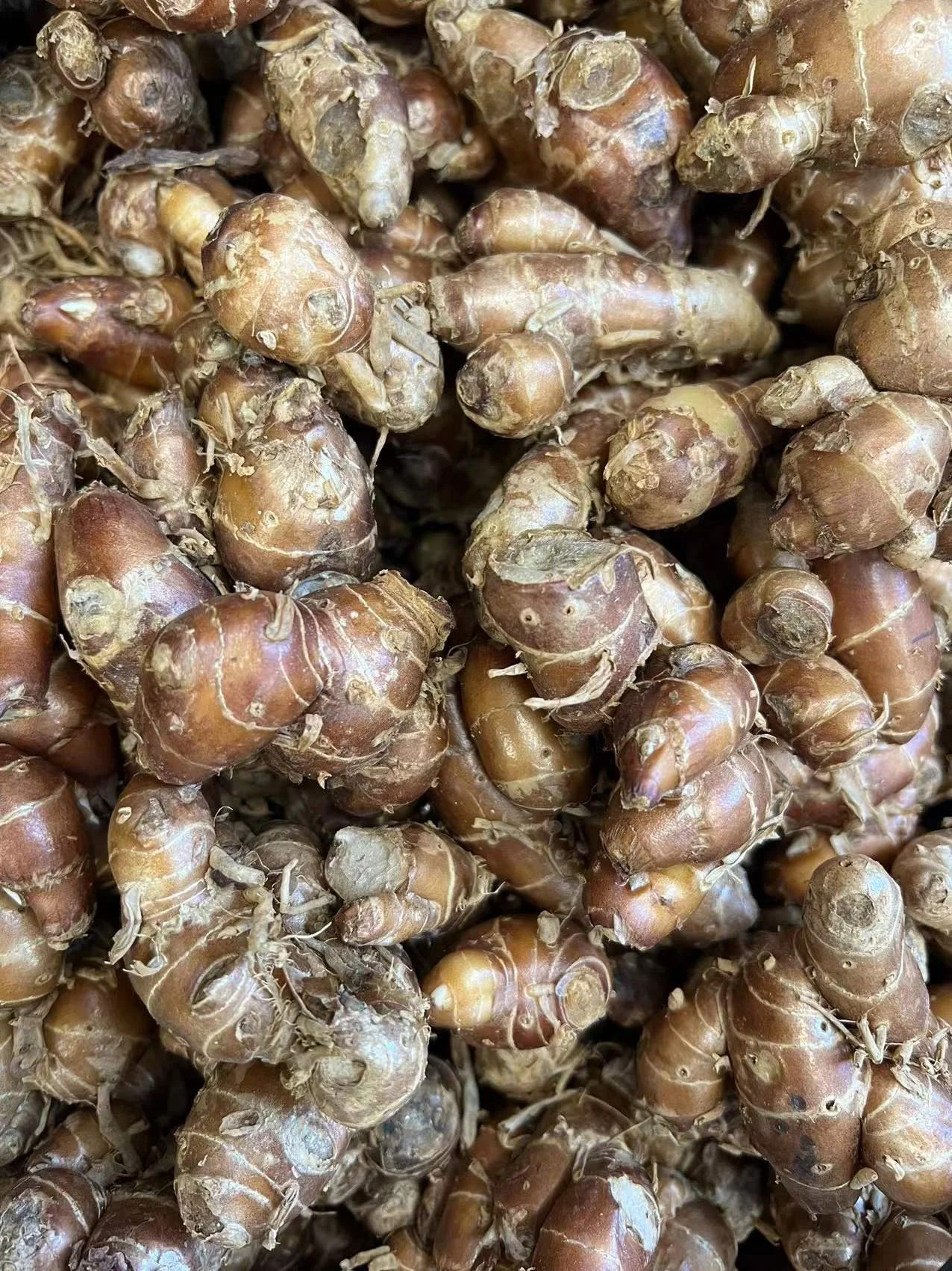 WeChat Image_20220407091703.jpg