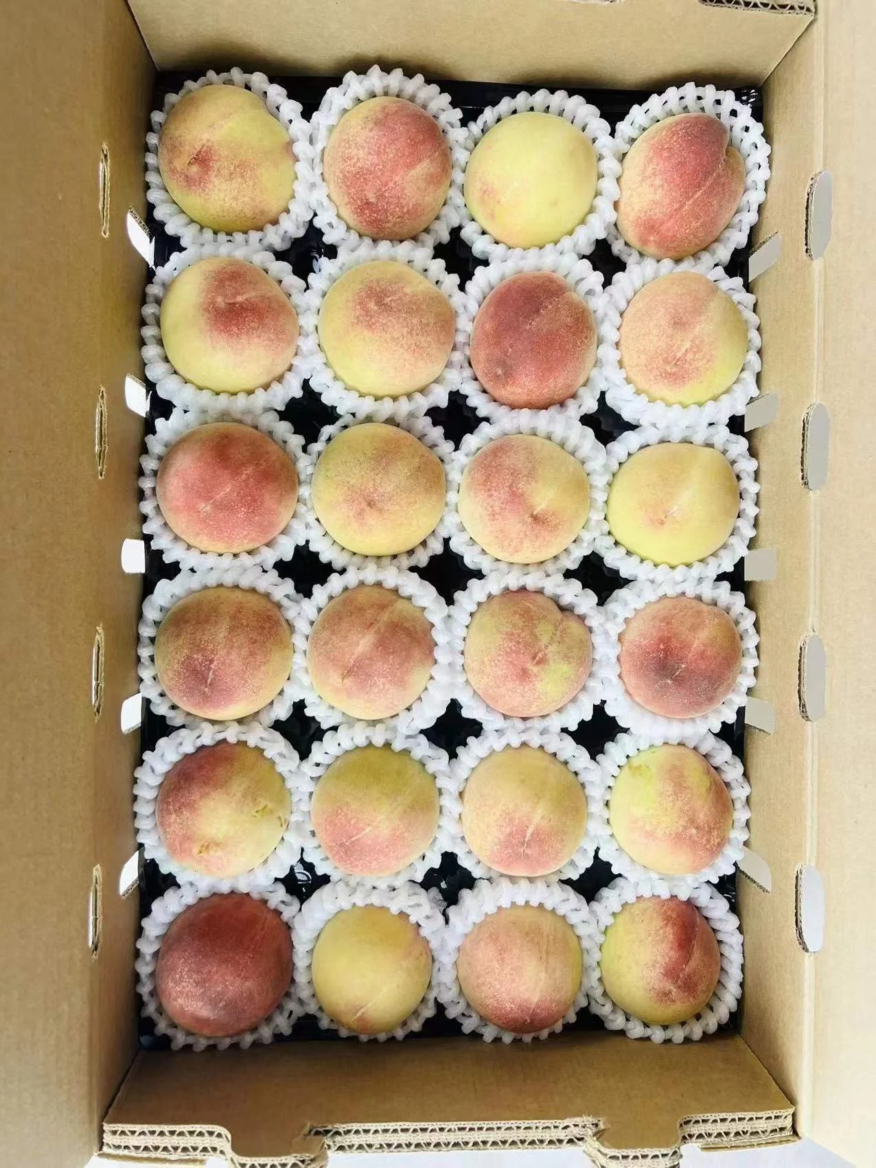 WeChat Image_20220612104926.jpg