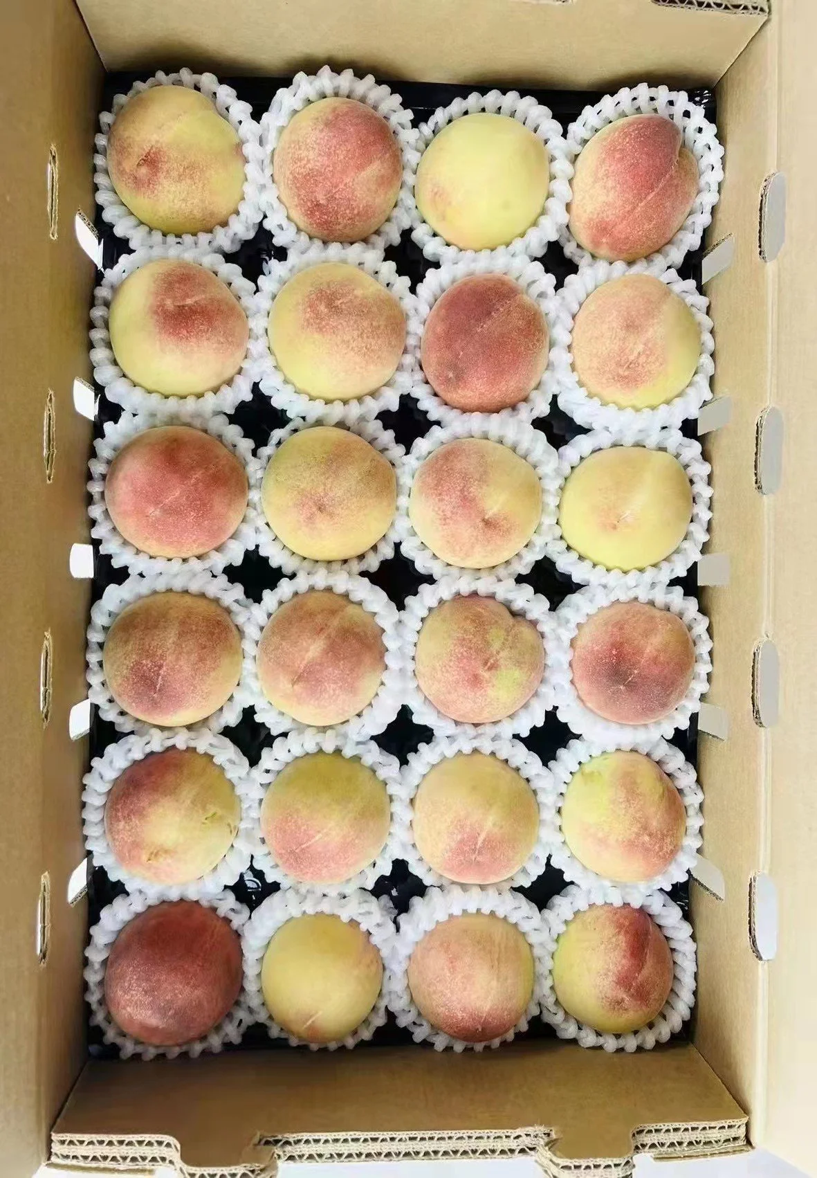 WeChat Image_20220614141553.jpg