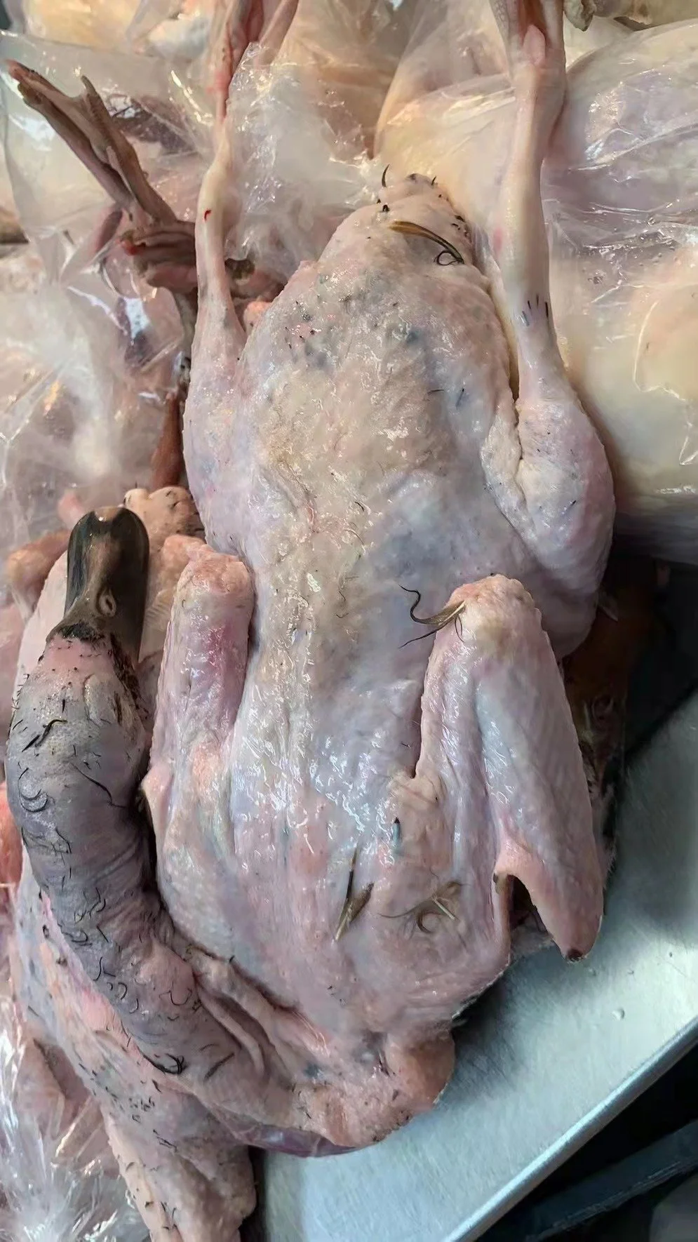 WeChat Image_20220727160933.jpg