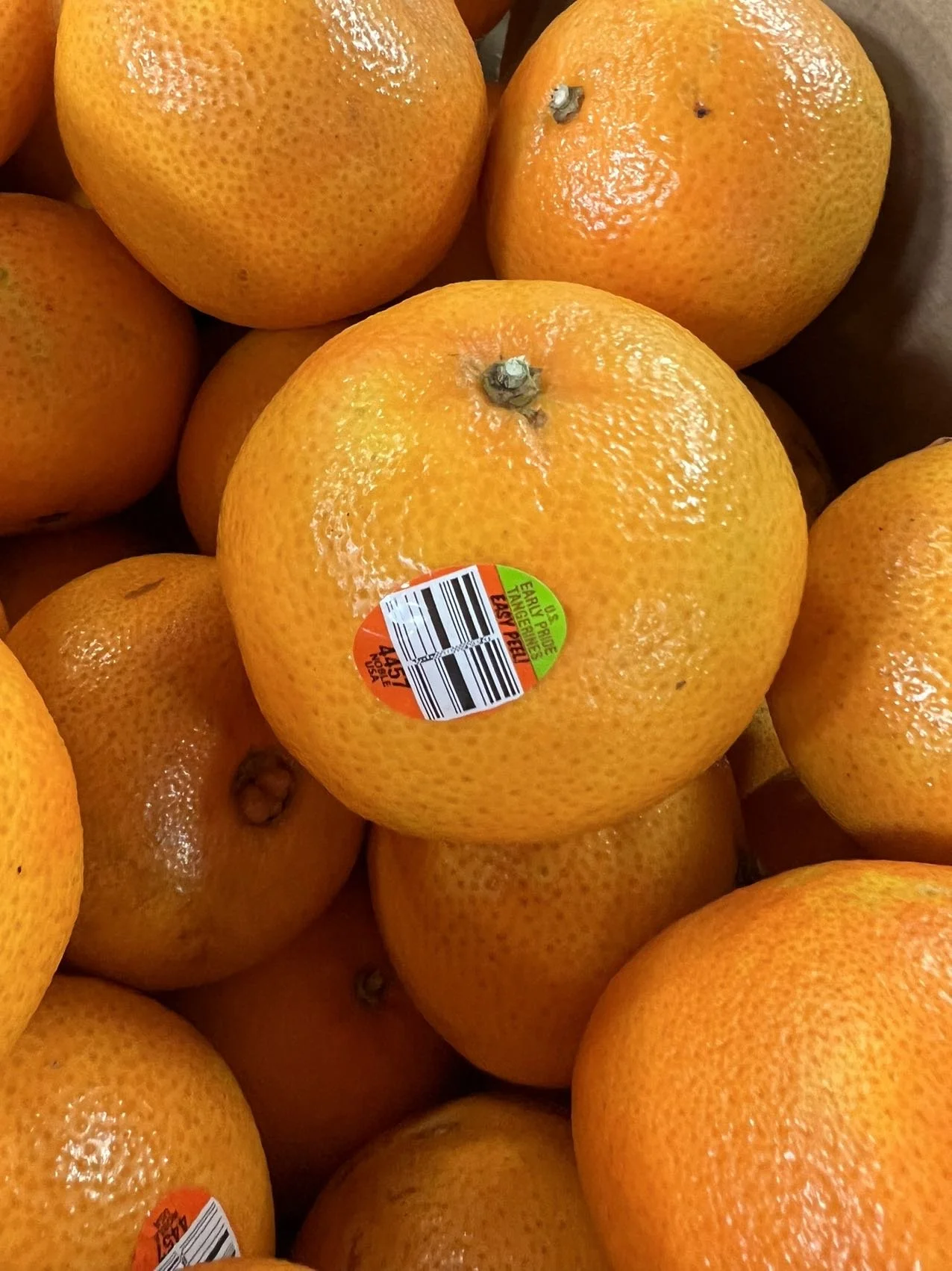 WeChat Image_20221020093610.jpg