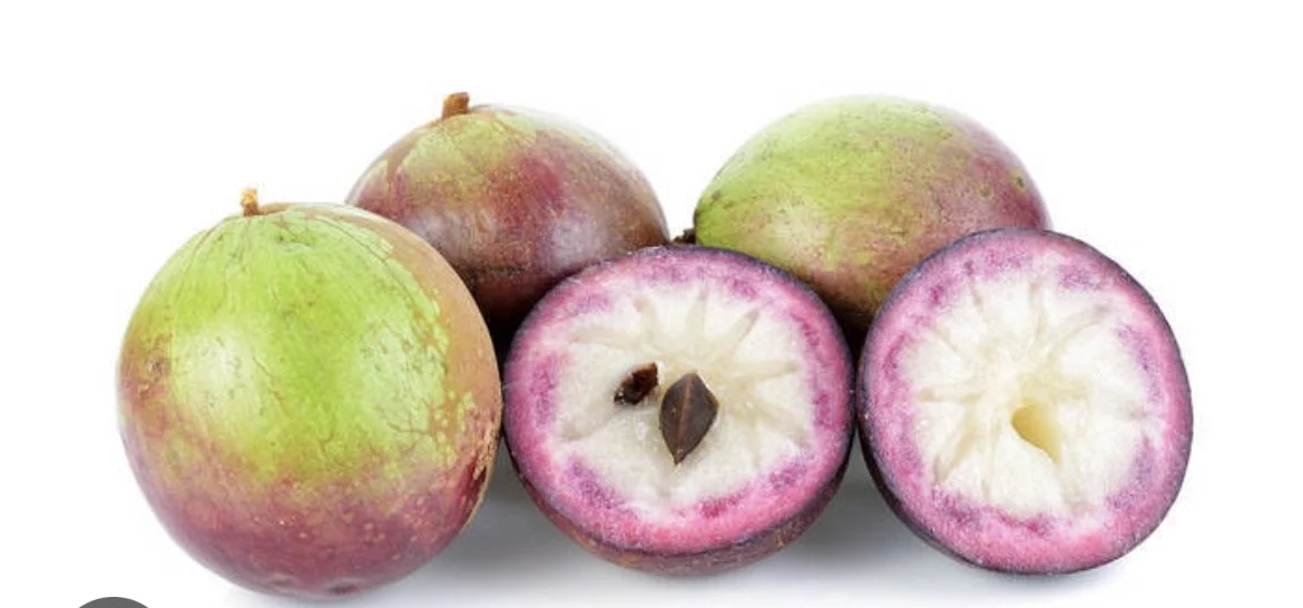 WeChat Image_20221108105455.jpg