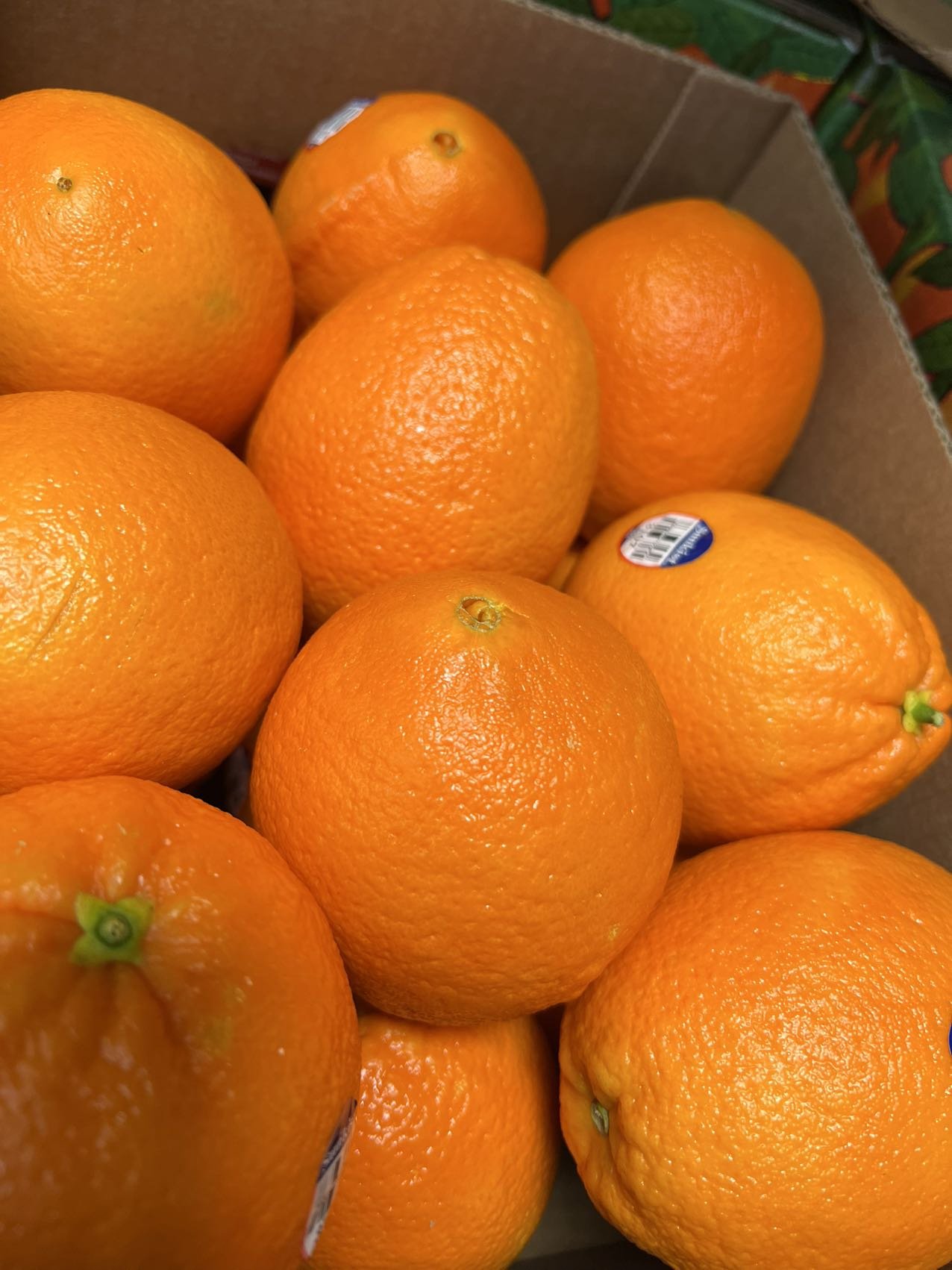 WeChat Image_20230112095716.jpg