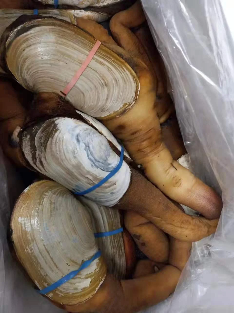 WeChat Image_20230405111915.jpg