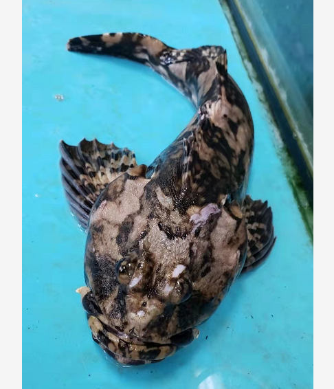 Screenshot 2023-05-09 140241.png