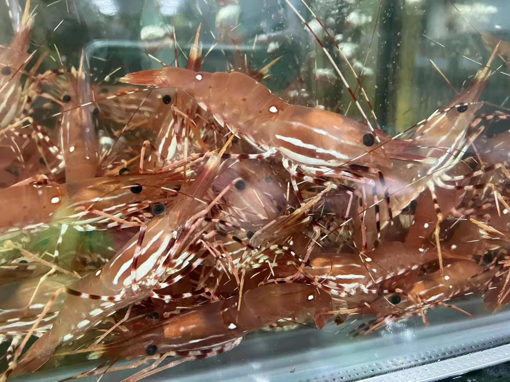 WeChat Image_20230512180617.jpg