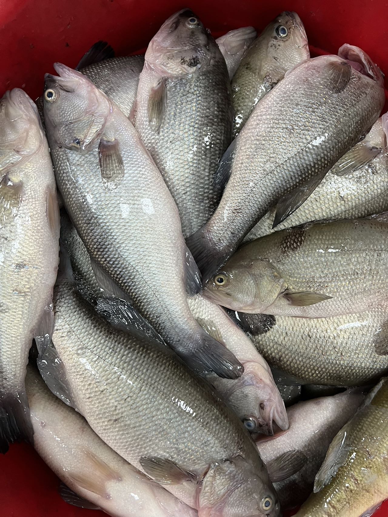 WeChat Image_20231022095204.jpg