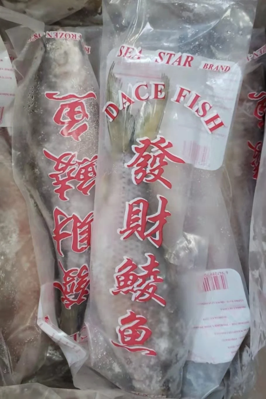 WeChat Image_20240203135343.jpg