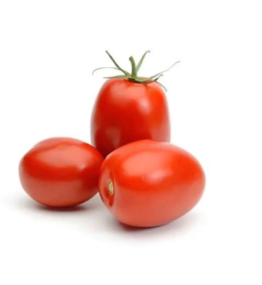 WeChat Image_20240215095448.jpg