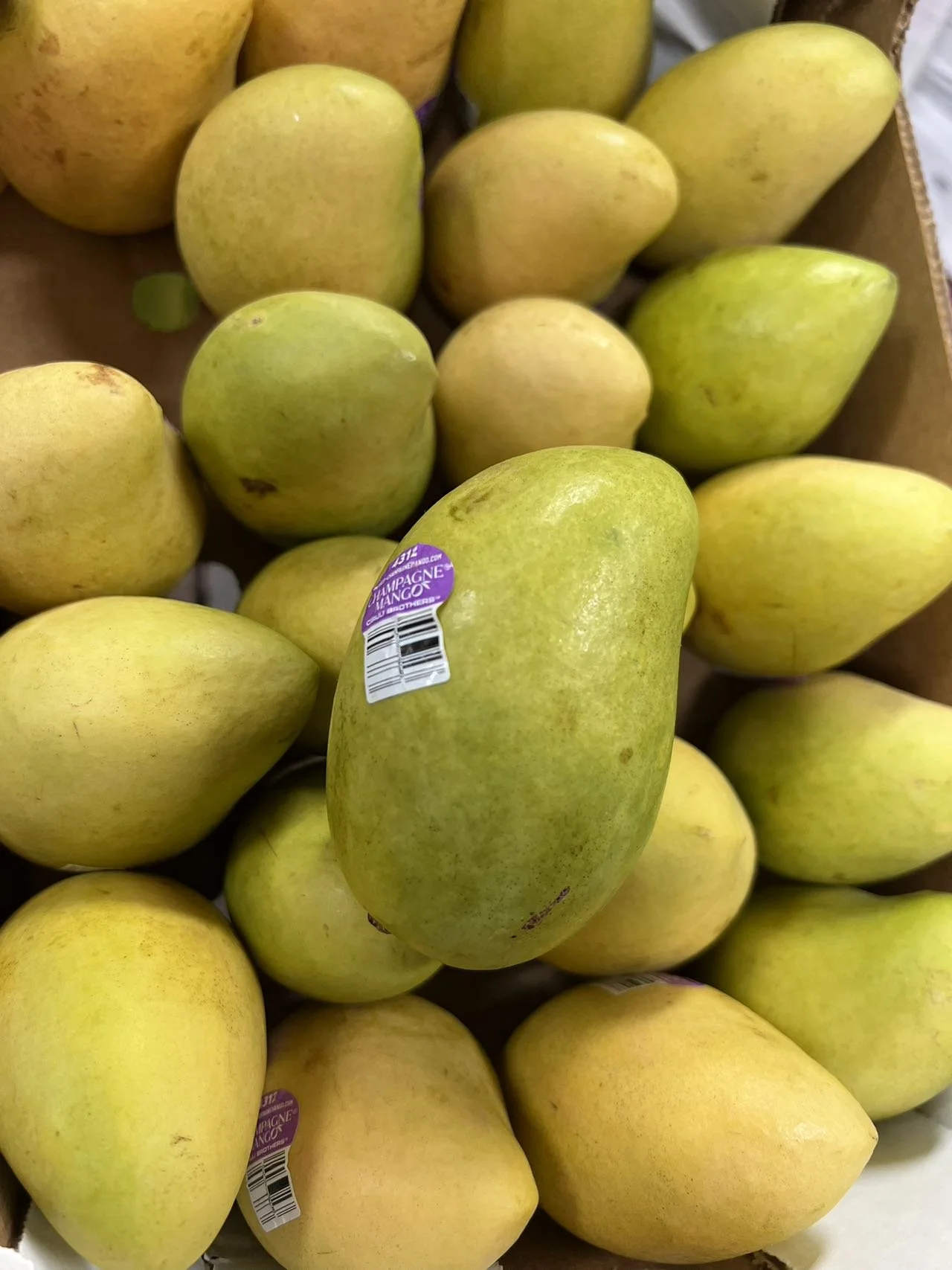 WeChat Image_20240226095024.jpg