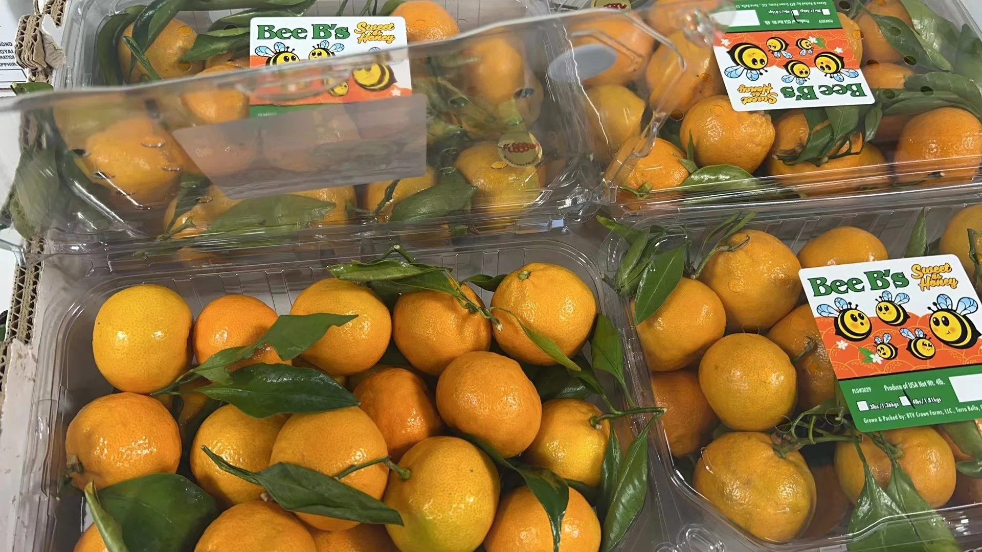 WeChat Image_20241111092353.jpg