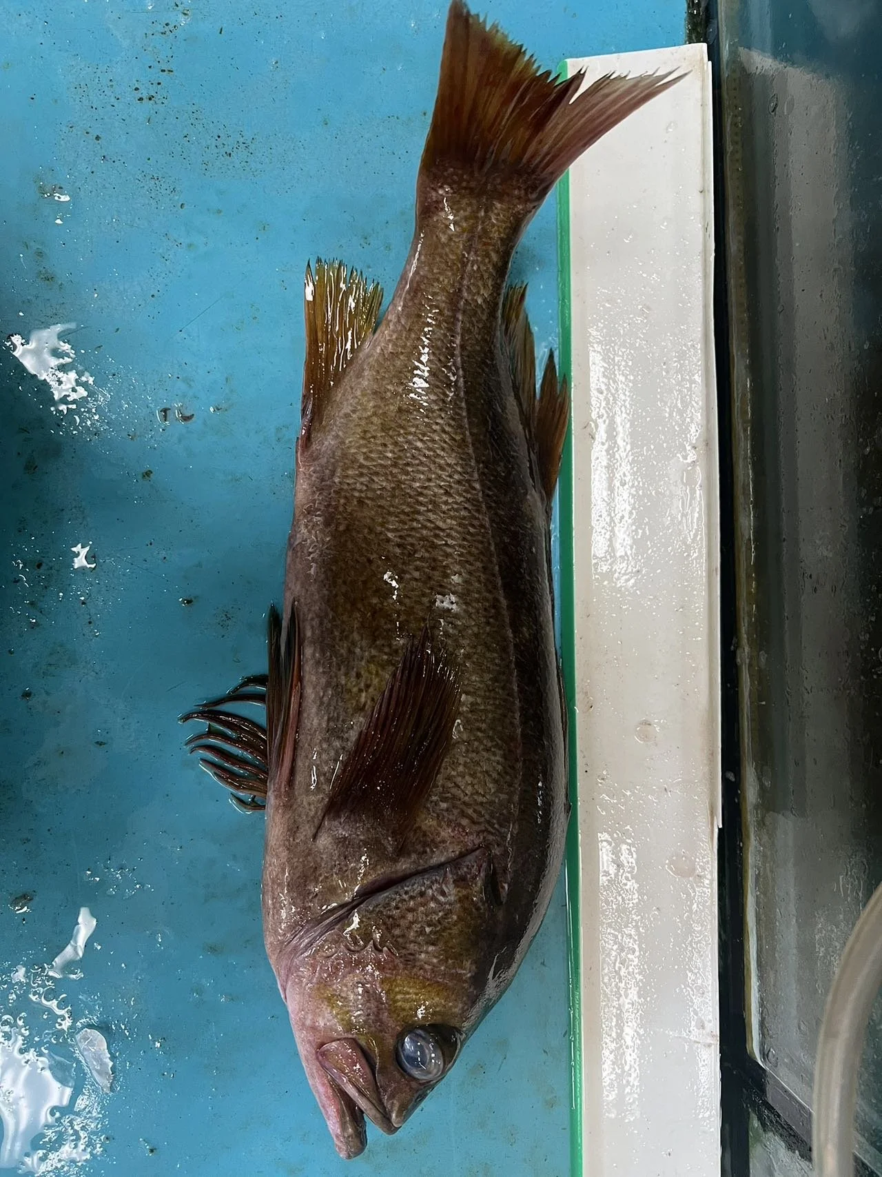 Image_20260505163146.jpg