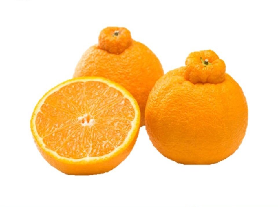 Golden Nuggets (Minneola) 新鮮耙粑柑