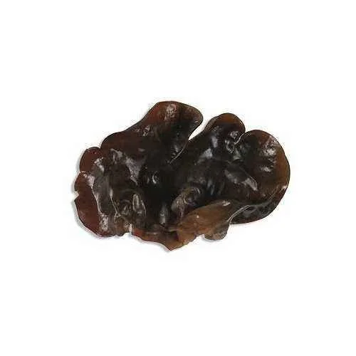 FRESH WOOD EAR 新鮮木耳