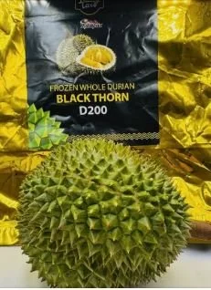 black thorn durian 2.JPG