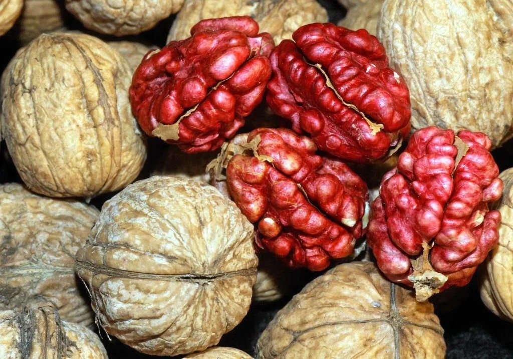RED WALNUTS  红肉核桃