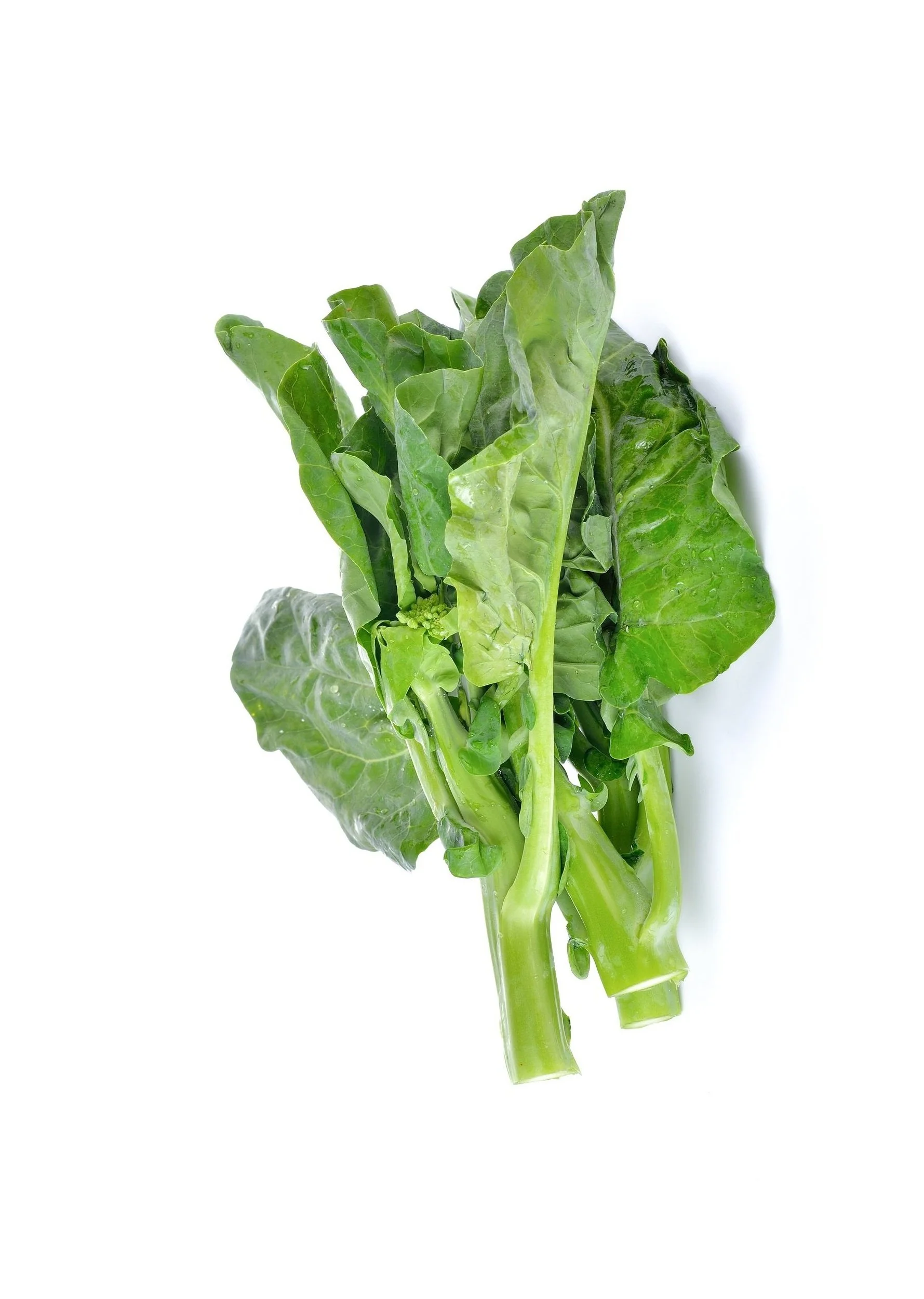 chinese-broccoli-white-wall.jpg