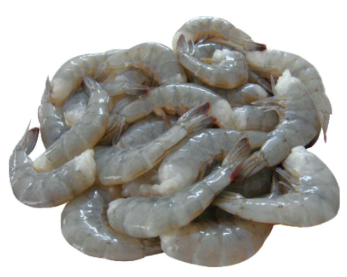 HEADLEDD SHELL-ON RAW WHITE SHRIMPS 去頭帶殼白蝦（散裝）特價$4.99/LB