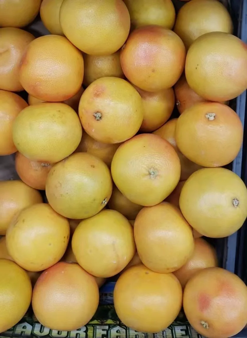 WeChat Image_20240918171702.jpg