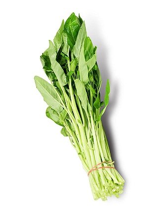 THICK WATER SPINCH     水通菜