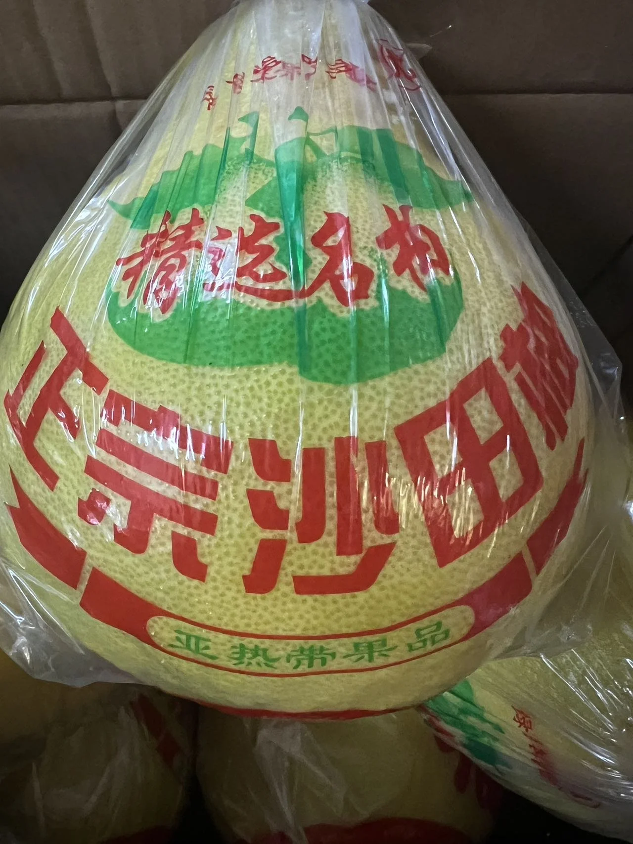 SHATIAN   POMELO  正宗沙田柚