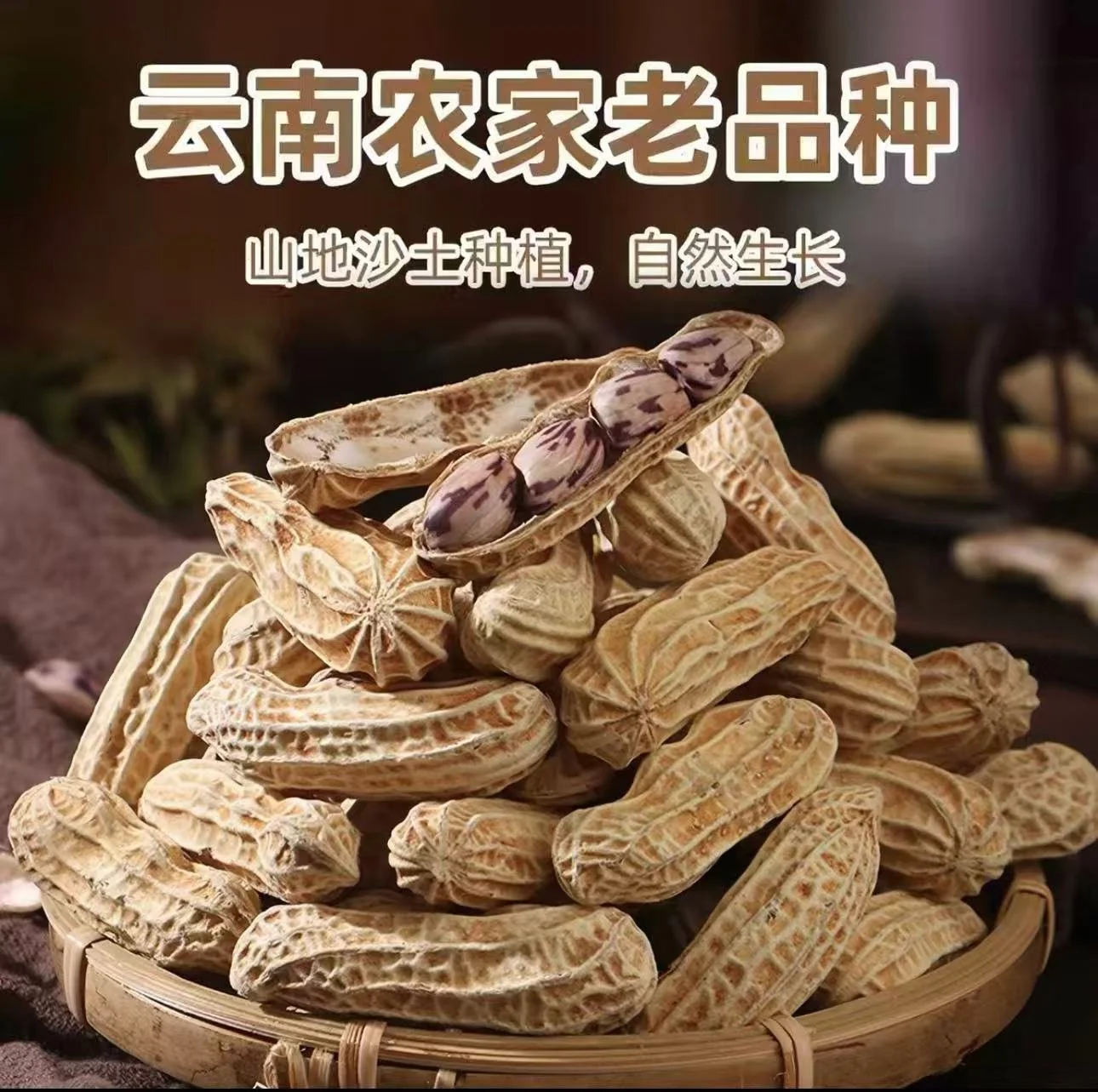 WeChat Image_20260606155103.jpg