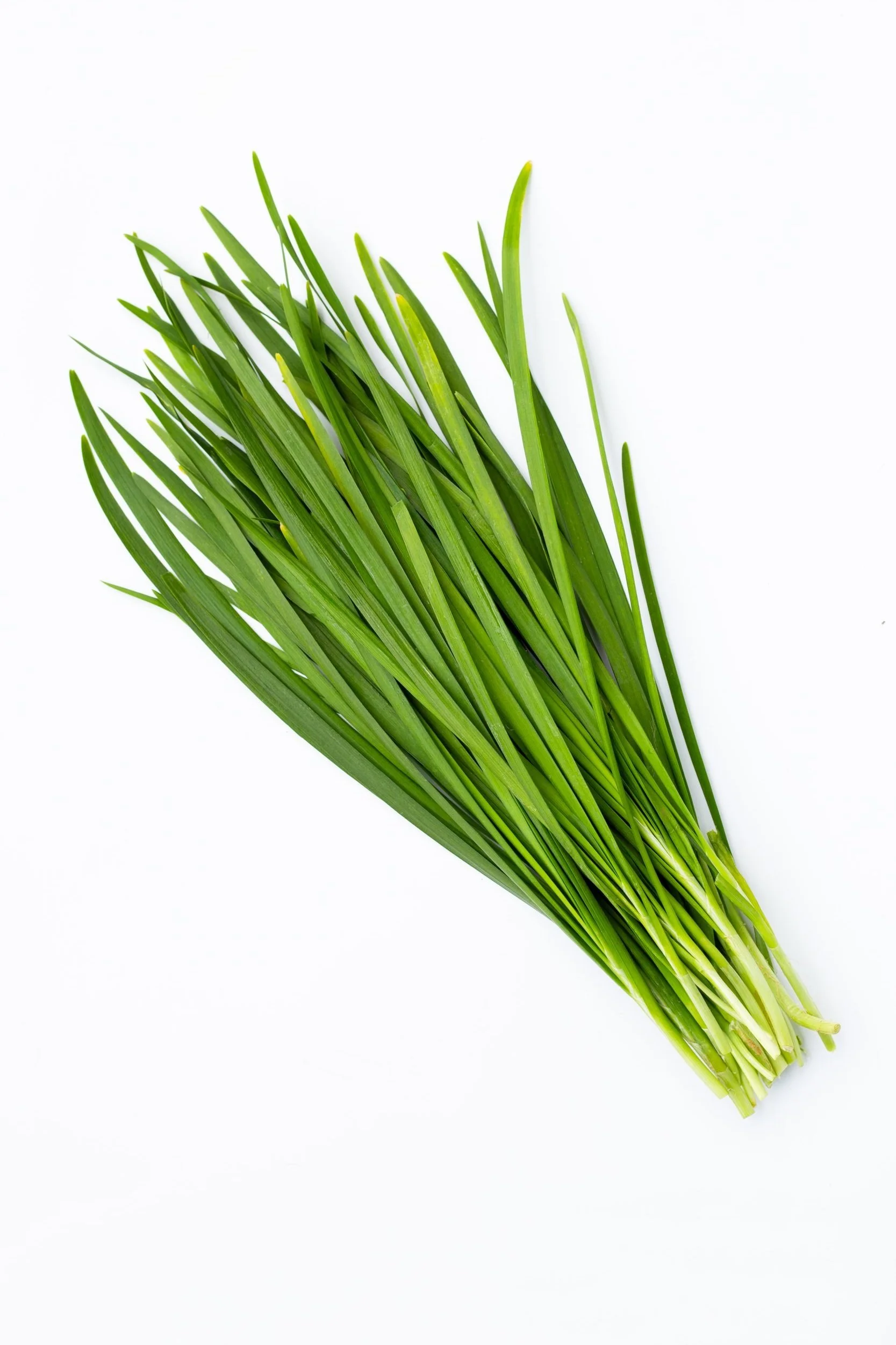 fresh-chinese-chive-leaves-white-background+%281%29.jpg