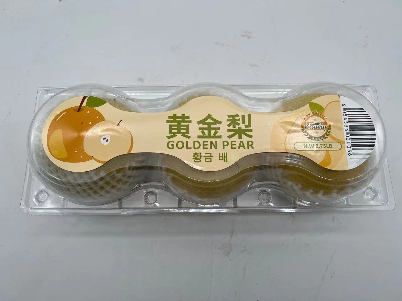 WeChat Image_20250107151433.jpg