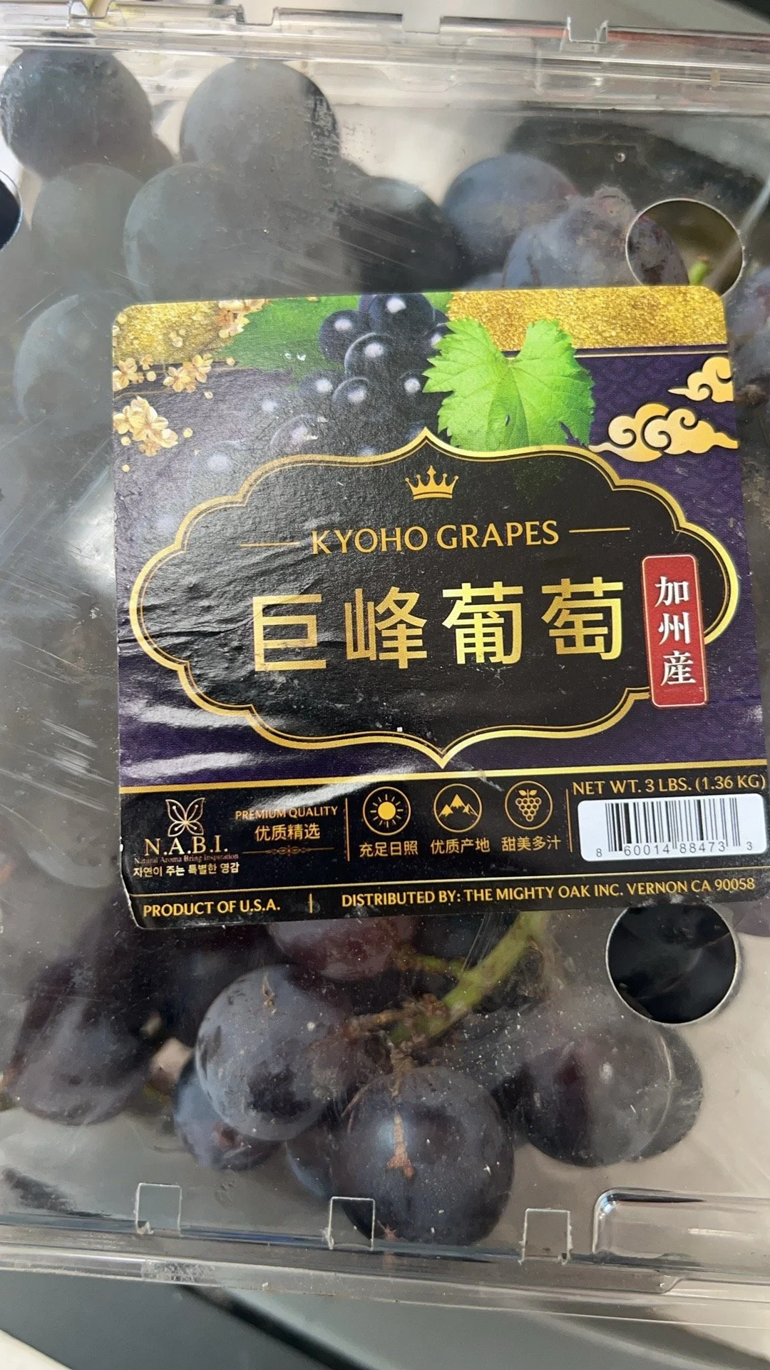 Image_20260718164106.jpg