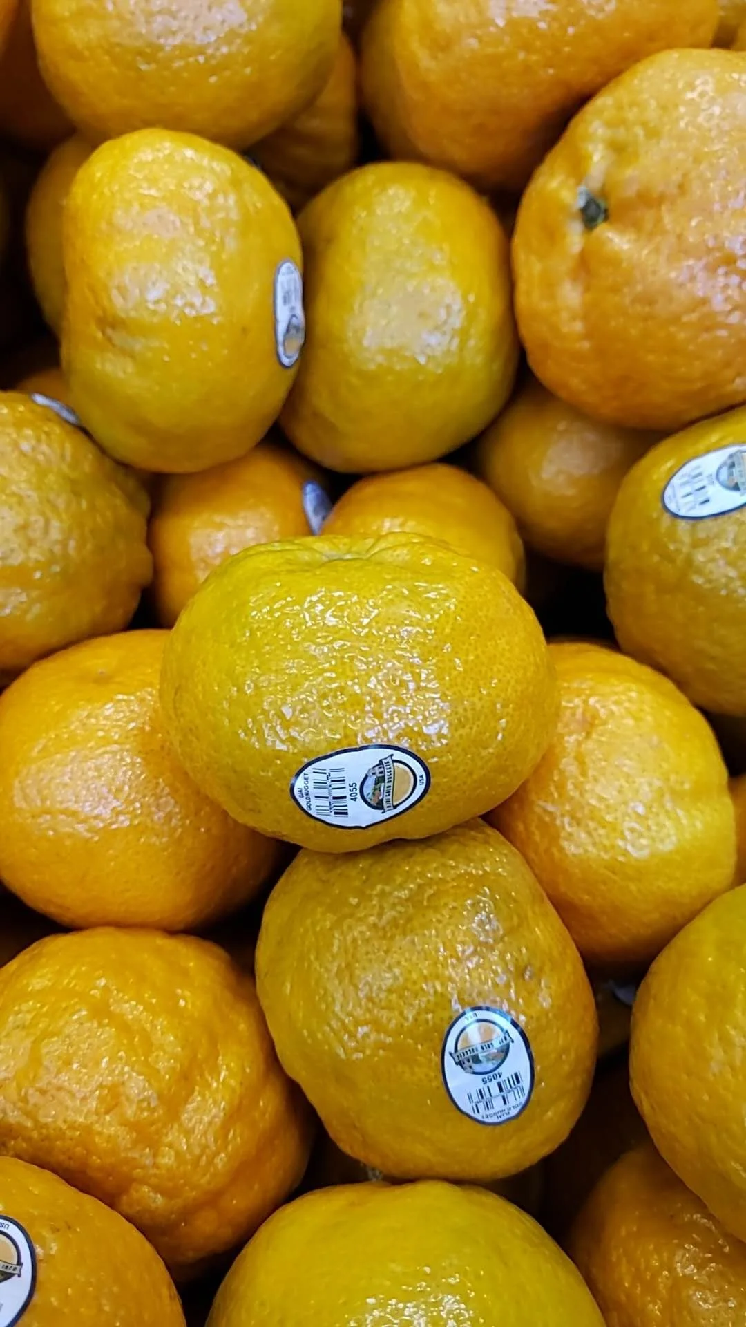 WeChat Image_20260324182855.jpg