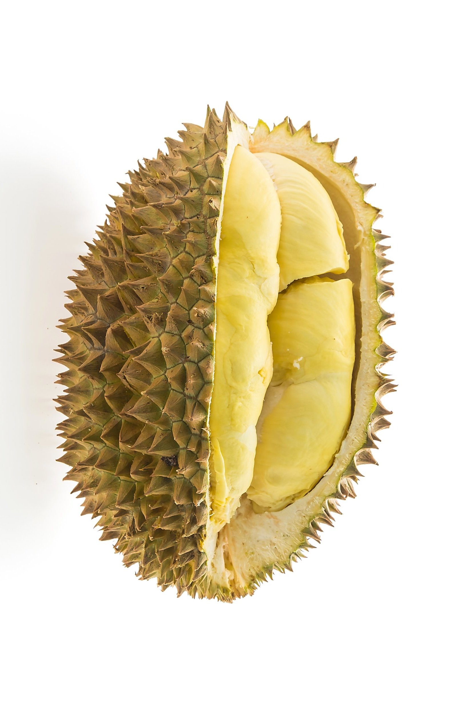 durian-fruit-white-background.jpg