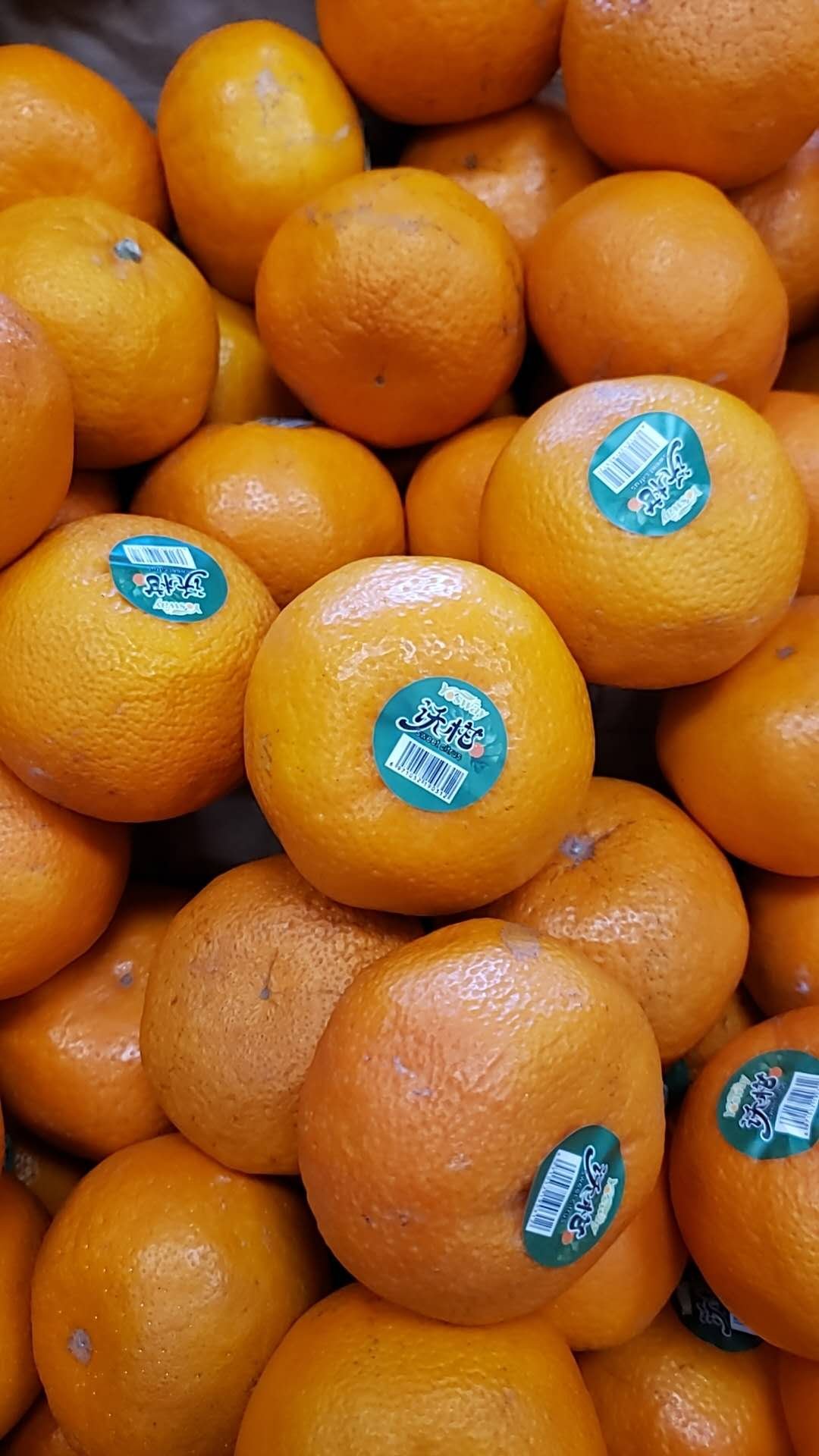 WeChat Image_20260324184857.jpg