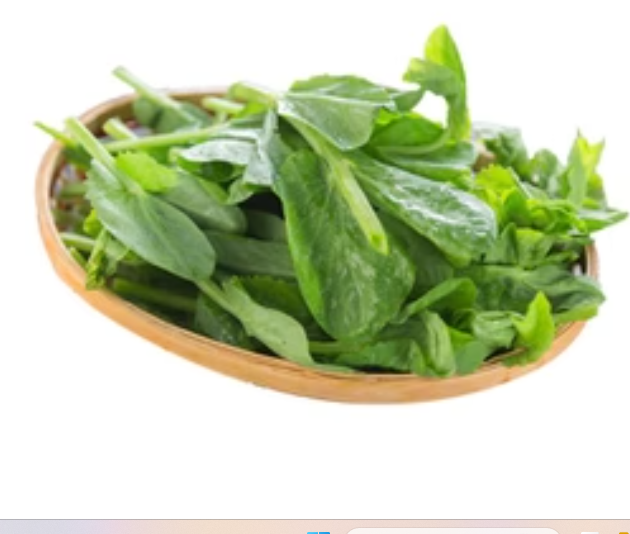 PEA TIPS 大豆苗