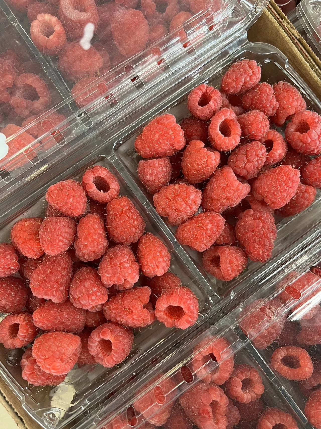 （滿$80 換換樂）RASPBERRIES 紅莓6OZ（3PK)