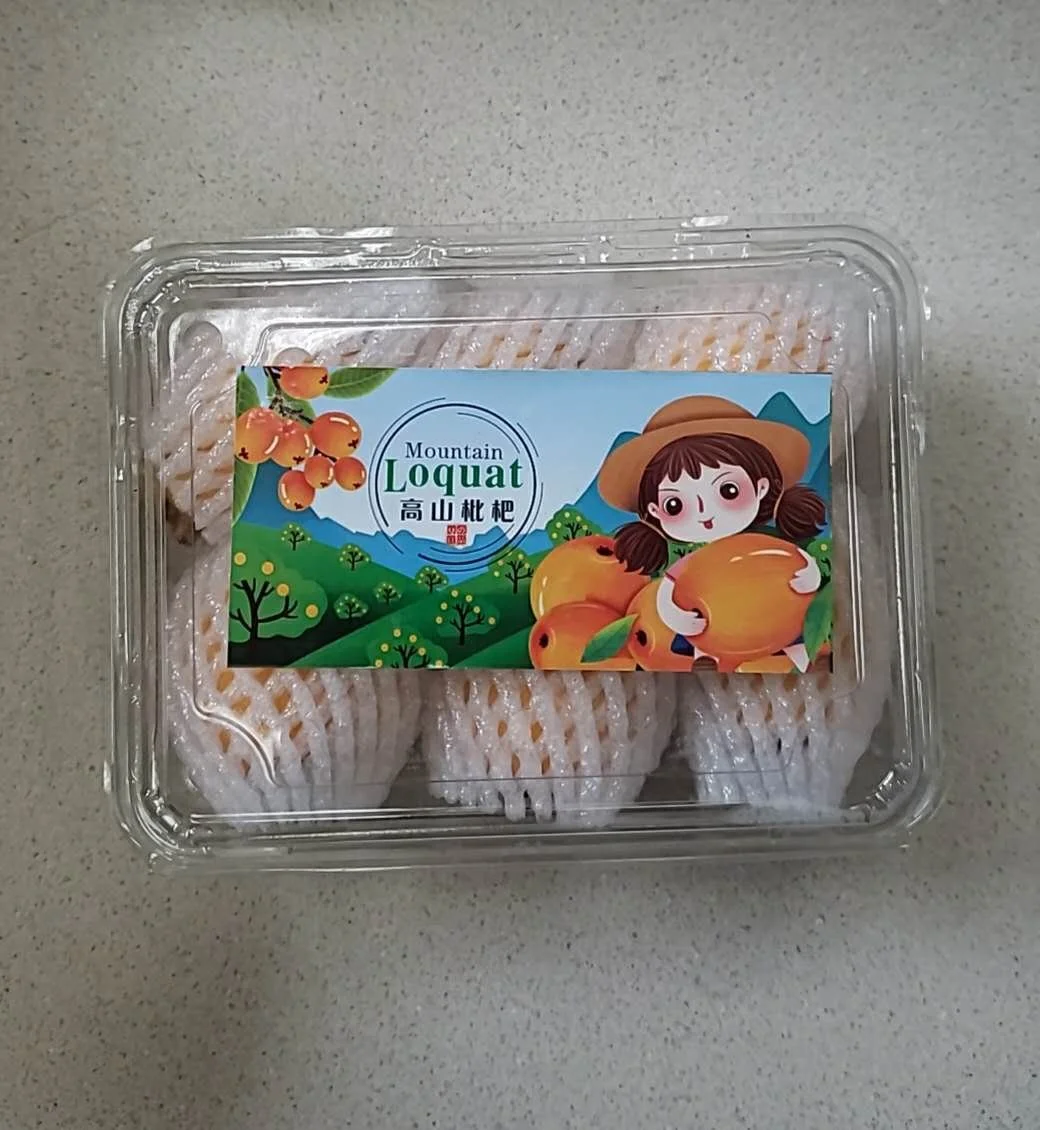 WeChat Image_20260304125854.jpg