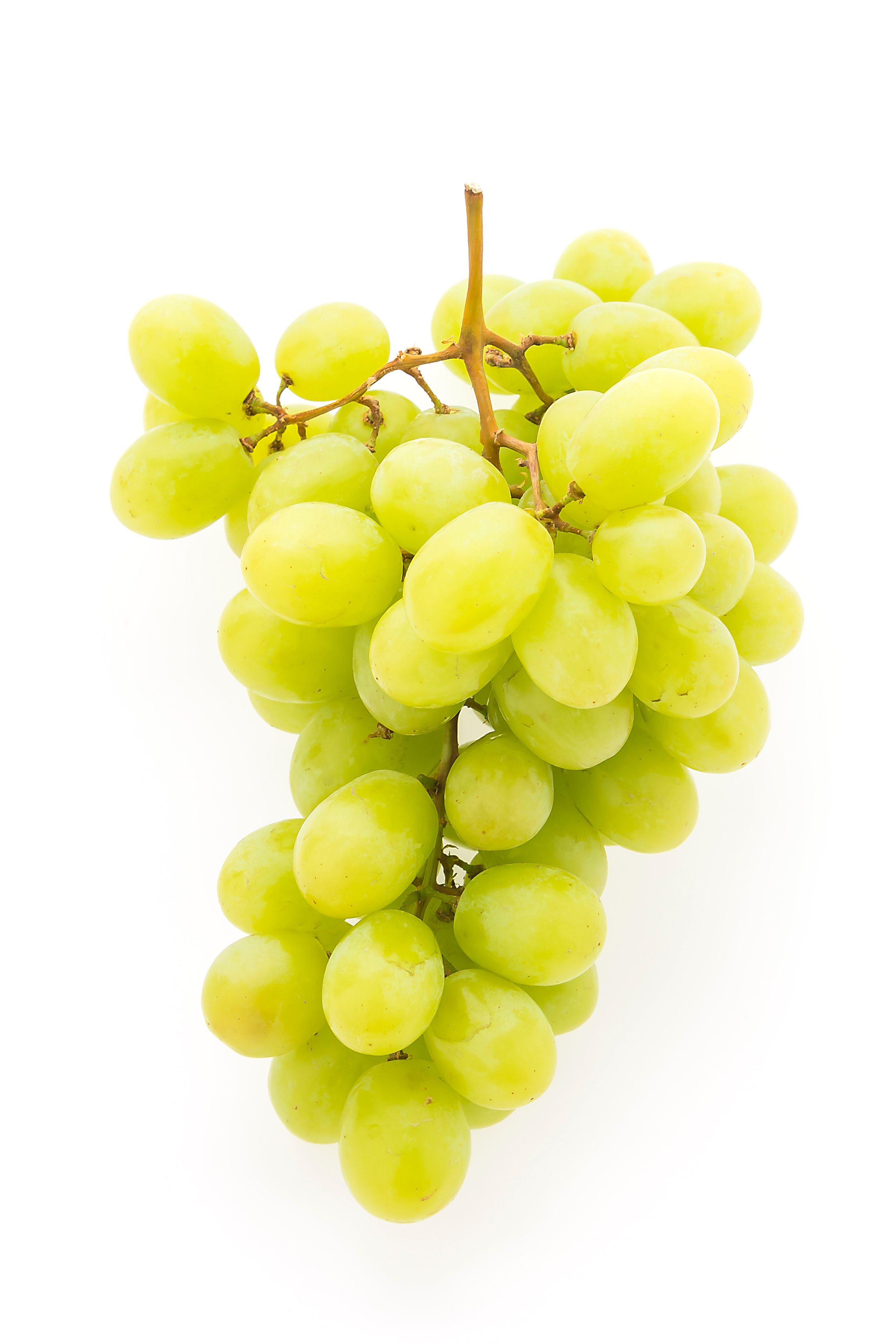green-grape.jpg