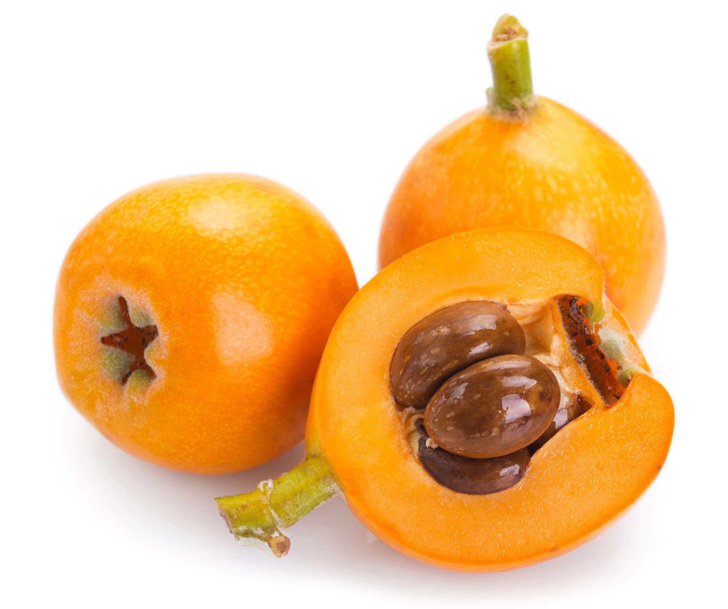 loquat-fruit-isolated-white-background.jpg