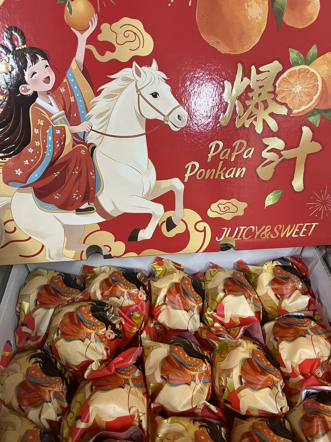 WeChat Image_20260219091937.jpg