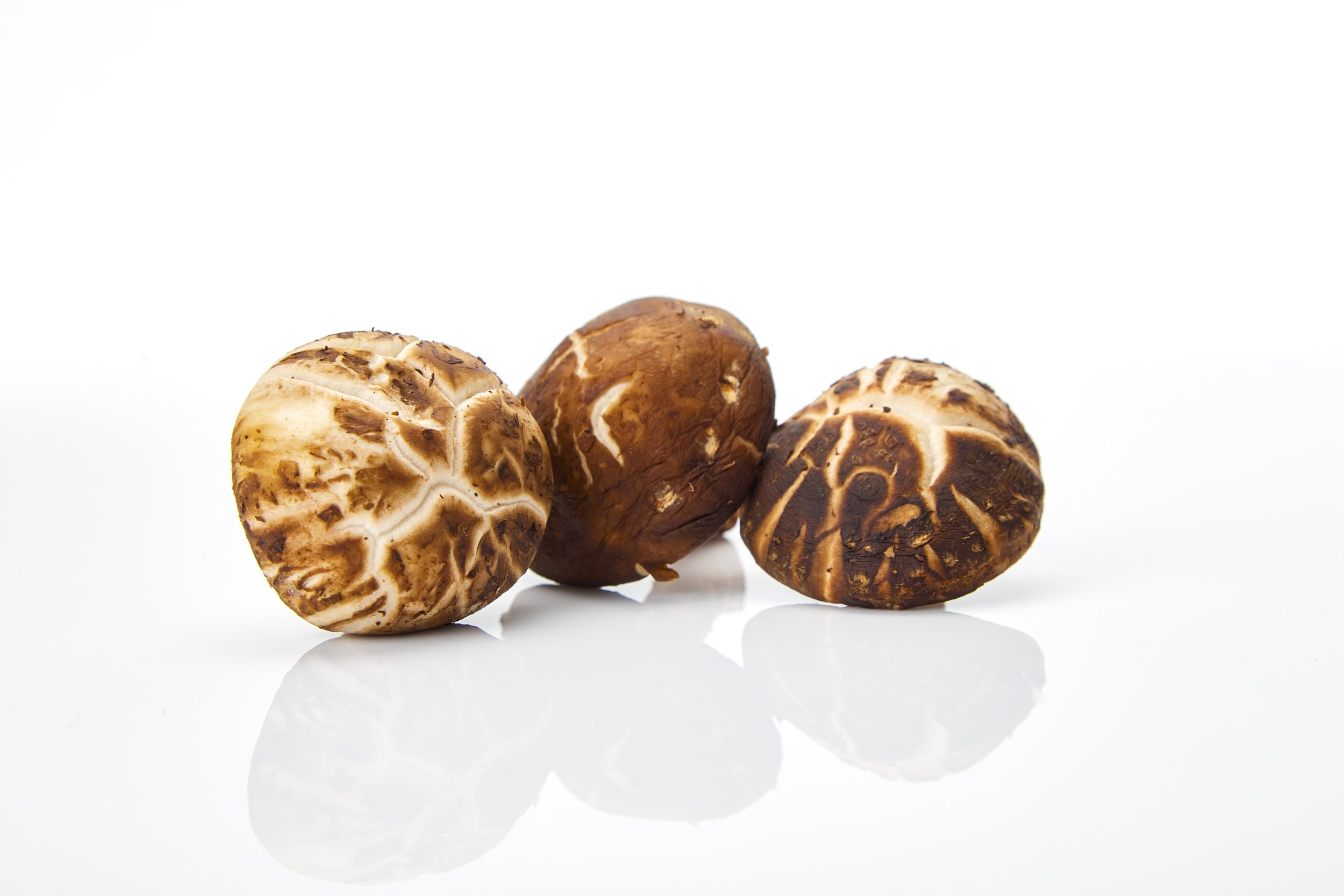 FRESH SHIITAKE, 新鮮冬菇
