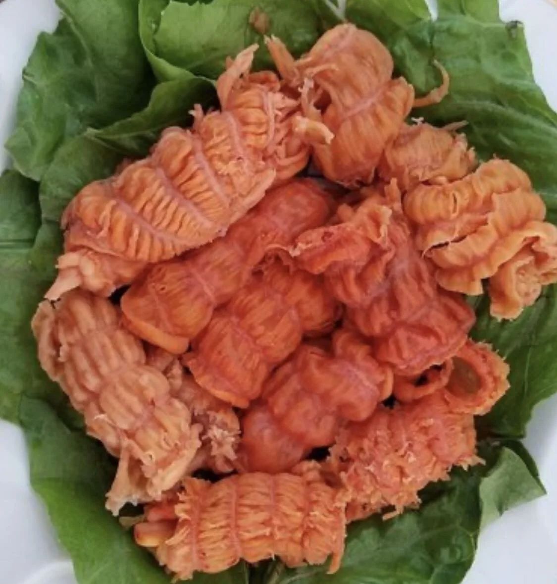 急凍紅花蚌  1磅裝