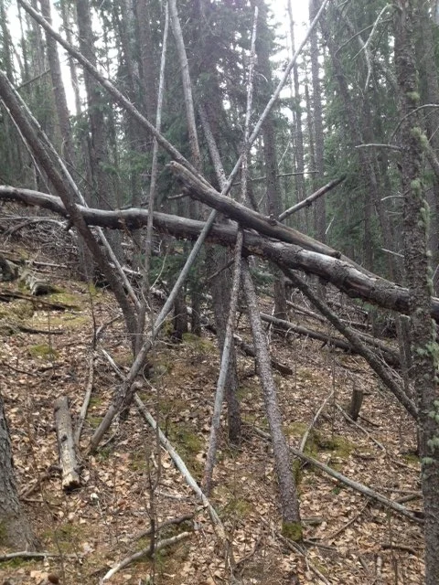 1 stick structure.jpeg