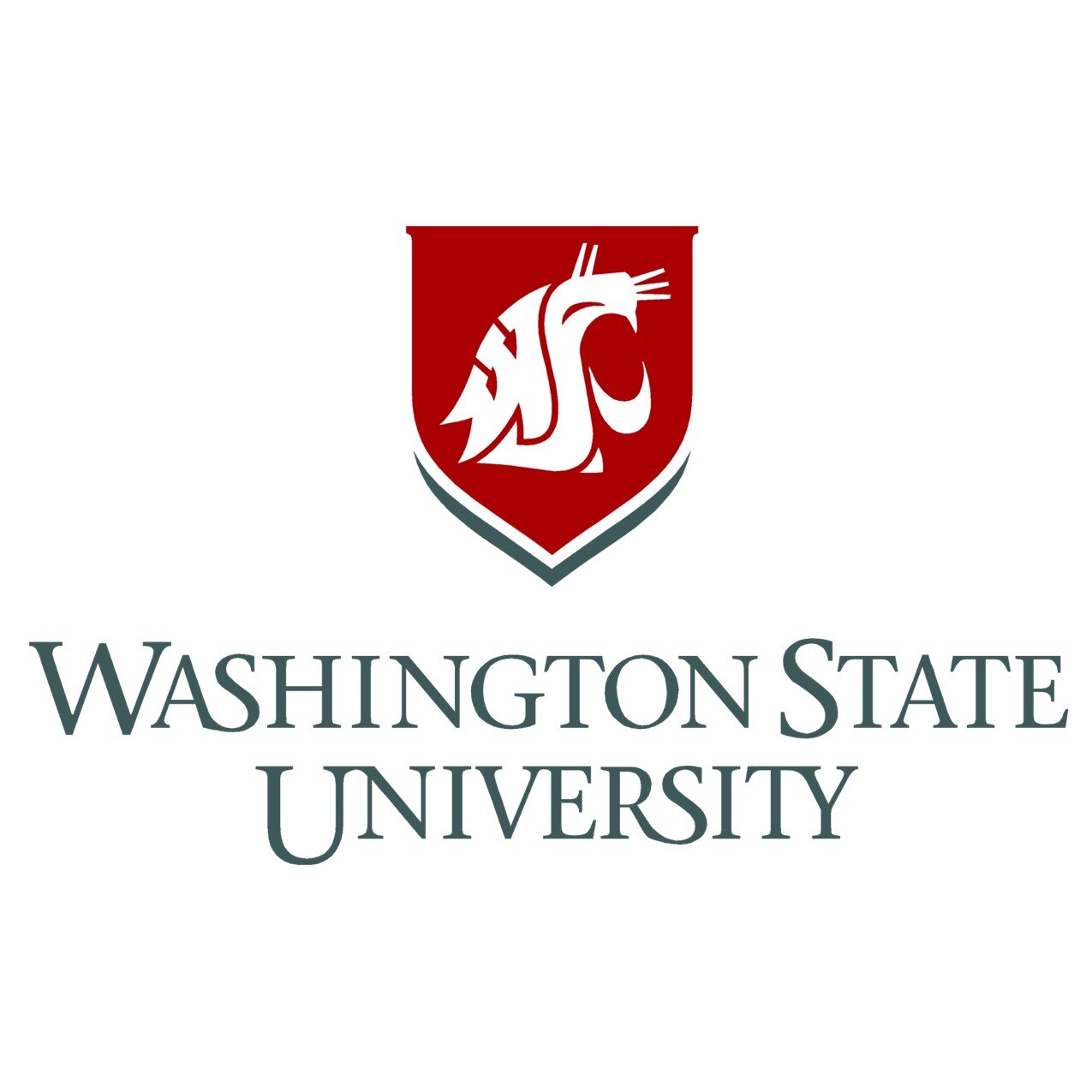   Washington State University | GIESORC  