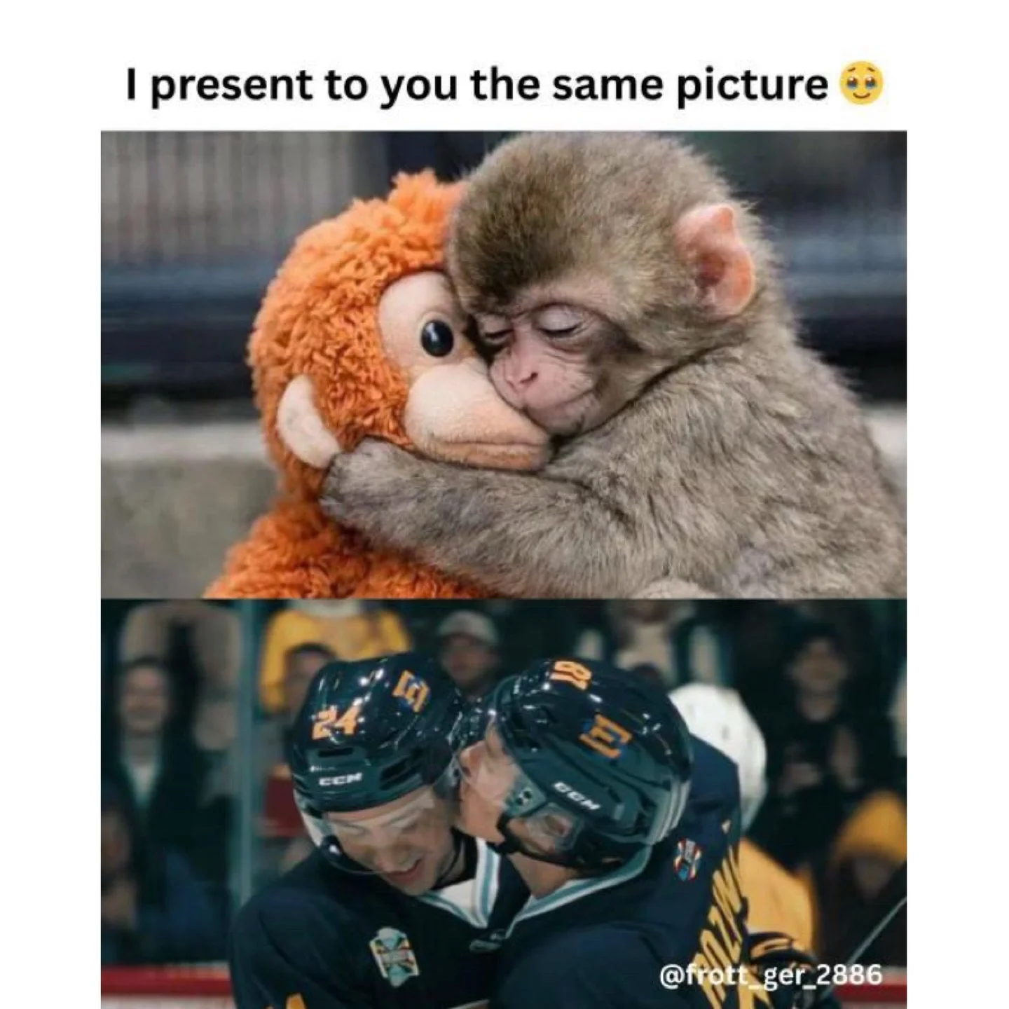 Happy Wednesday, Happy Heated Rivalry Meme Day,✨and✨ Happy #JessAndSamarDay!! 🐫🏒
.
Yes, Heated Rivalry is still bringing us all the feral comfort in this truly dyst&oslash;pian and chaotic world, so I hope y&rsquo;all enjoy our umpteenth week of HR